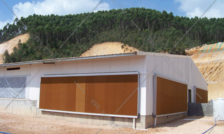 還在為廠房的墻體煩惱嗎？使用星發(fā)優(yōu)質墻體廠房塑料瓦